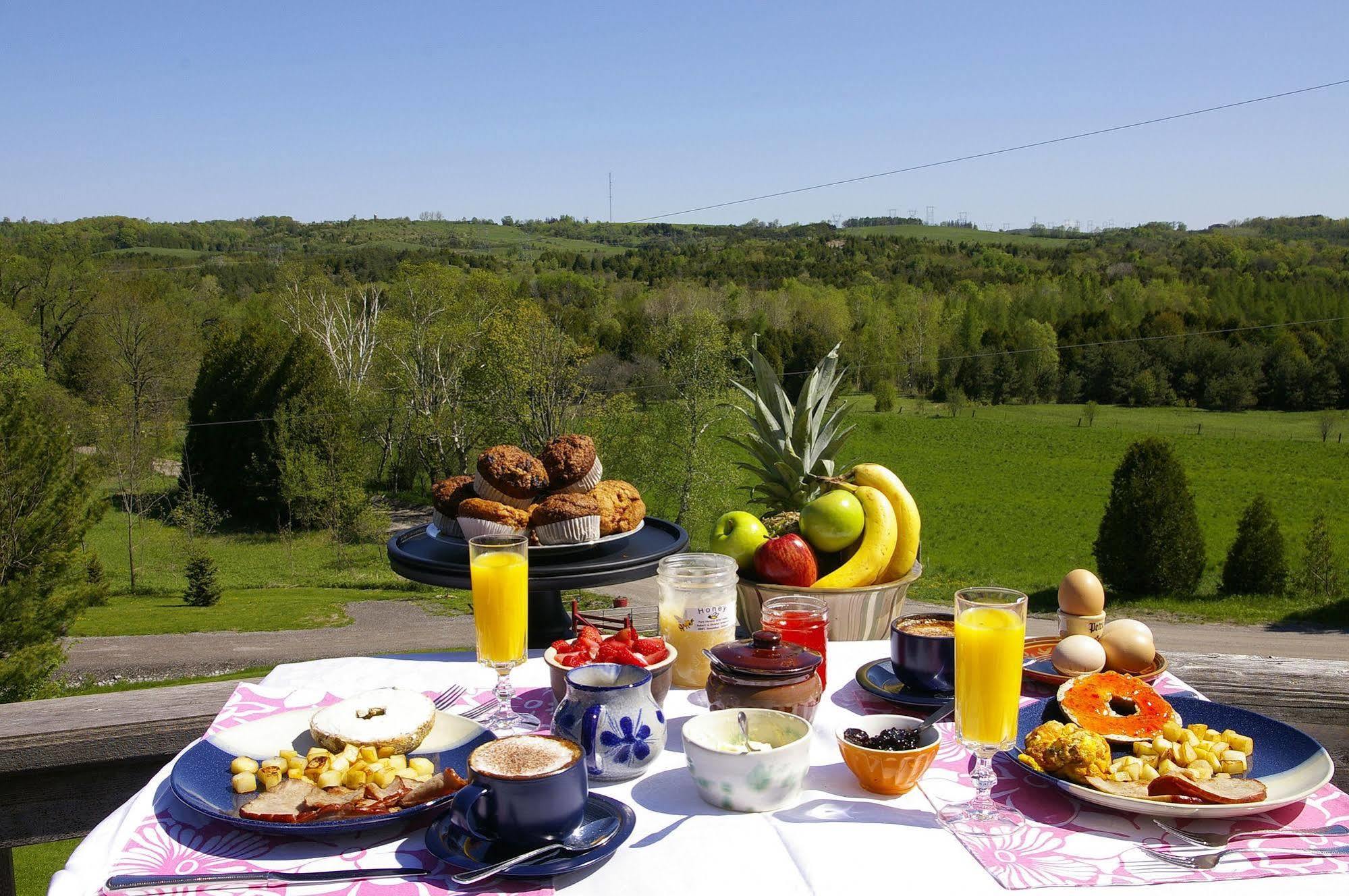 Our Valley View Bed & Breakfast Hampton Екстериор снимка
