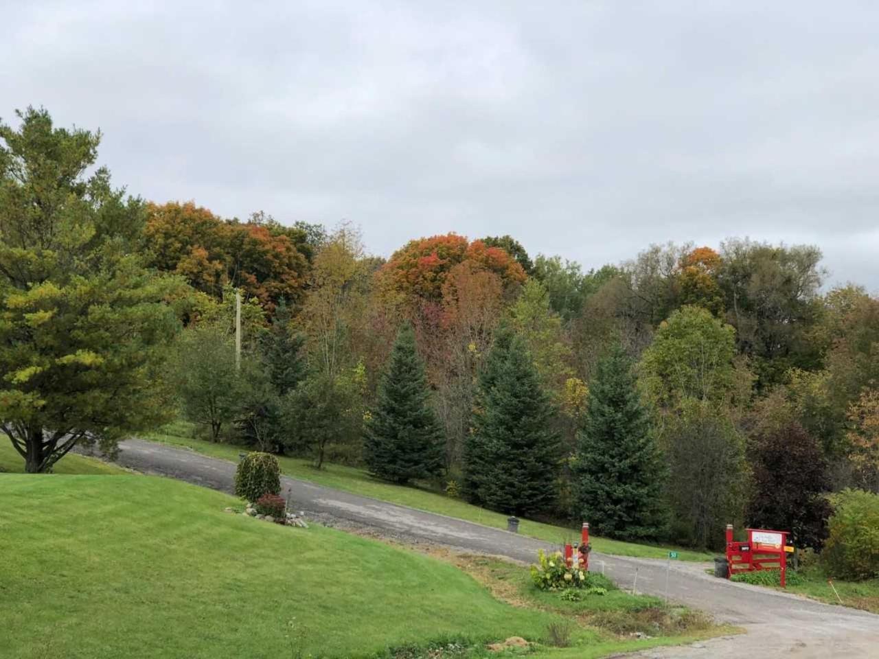 Our Valley View Bed & Breakfast Hampton Екстериор снимка
